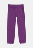Pantalon d'entraînement Aletta sporkling raisin 